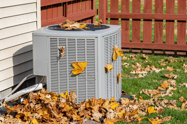 Best HVAC Installation Services  in Rainbow Park, FL
